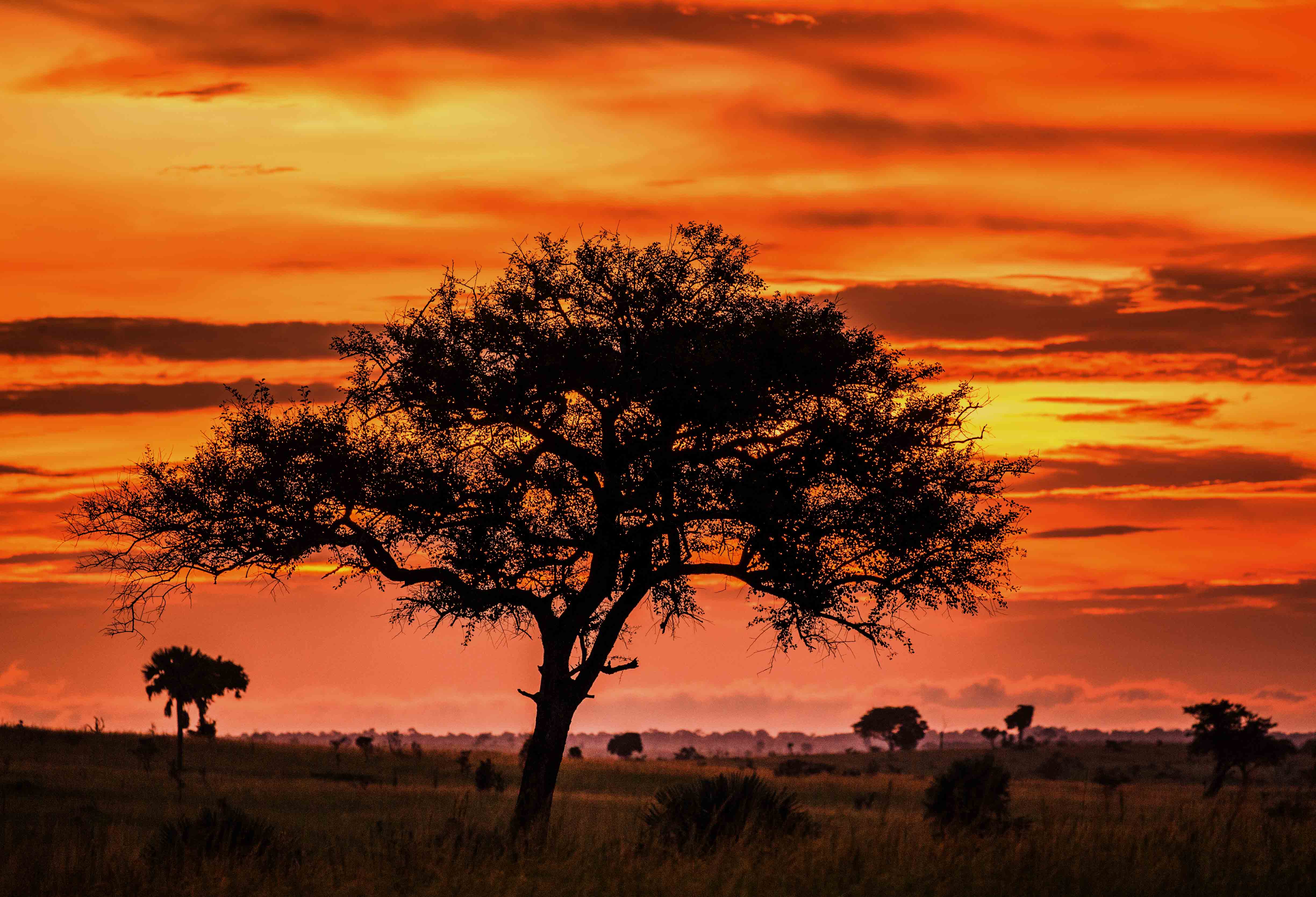 UGANDA: the Pearl of Africa